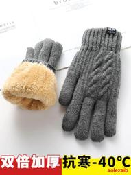 手套冬季女士保暖觸屏毛線加絨加厚戶外韓版可愛毛絨針織手套DZ23 歷史價格詳細信息