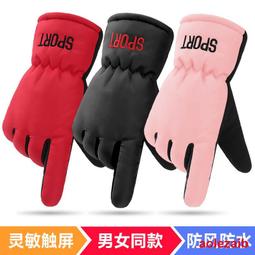 冬季戶外加厚保暖摩托車機車騎行騎車手套男士加絨防寒棉防風防摔 歷史價格詳細信息