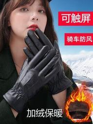皮手套男冬季加絨保暖加厚開車騎行防風防寒發熱摩托觸屏手套男H 歷史價格詳細信息
