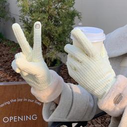 秋冬季保暖德絨手套女士可愛防風冬天手套騎車觸屏開車騎行手套 歷史價格詳細信息