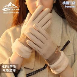 新款羊絨手套女士冬季戶外防寒觸屏手套雙層加厚兔毛保暖手套DY39 歷史價格詳細信息