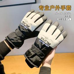 冬季滑雪保暖手套男女戶外騎行觸屏加絨防寒防風電動車手套SK15 歷史價格詳細信息