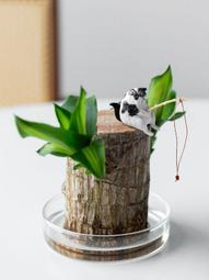 創意幸運石遙控音樂投影儀夢幻氛圍led浪漫投影星空燈 歷史價格詳細信息