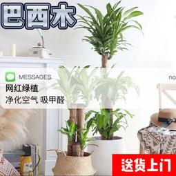 綠色植物美麗諾羊毛羊毛氈材料包、可製作成手機吊飾、小裝飾（純羊毛製品） 歷史價格詳細信息