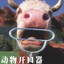 獸用剪牙鉗小豬仔剪乳牙鉗子兔子羊狗不鏽鋼斷尾鉗加硬豬用耳孔器【我的寶貝】 歷史價格詳細信息