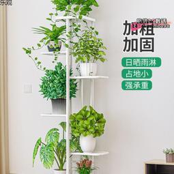 花架鐵藝落地室內客廳陽臺歐式多層綠蘿花盆架子省空間特價郵  推薦 歷史價格詳細信息