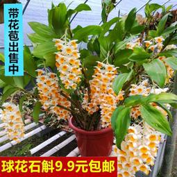 【熱賣】室外金屬防水門禁一體機M8戶外防雨觸摸刷卡密碼門禁鎖窄門禁機 歷史價格詳細信息