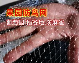 【限時下殺】養魚箱方桶塑料水箱長方形加厚超大容量賣魚箱水產養殖箱泡瓷磚 歷史價格詳細信息