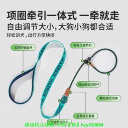 狗狗牽引繩防爆沖尼龍反光遛狗繩防掙脫狗鏈子小中大型犬拴狗繩子 歷史價格詳細信息