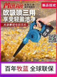 德國強力吹風機大風力家用吹頭髮不傷發超靜音電風筒理髮店專用 歷史價格詳細信息