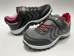 熱銷☆走進困難聲門喉微創外科理論與實踐（2016北醫基金） - 王麗 主編  - 2017- 歷史價格詳細信息