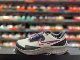 S.G NIKE AIR ZOOM PEGASUS 40 PRM FB7179-002 灰色 藍勾 小飛馬 慢跑鞋 男鞋 歷史價格詳細信息