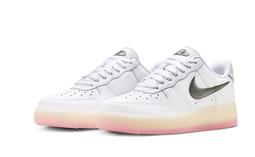 S.G W AIR ZOOM PEGASUS 40 PRM ANY FB7703-001 黑 白 小飛馬 女 歷史價格詳細信息