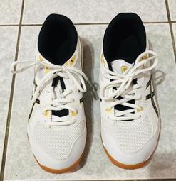 Asics GEL-Rocket 10 [1073A053-101] 男女 排球鞋 運動 訓練 室內 支撐 穩定 白黑 歷史價格詳細信息