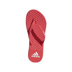 adidas 愛迪達 夾腳拖 Adicane Flip Flop 米白 男鞋 女鞋 人字拖 拖鞋 舒適 HQ9919 歷史價格詳細信息
