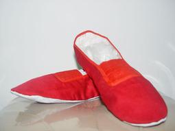 肚皮舞鞋子練功鞋專業瑜伽舞蹈鞋軟底成人免系帶爪鞋女古典 歷史價格詳細信息