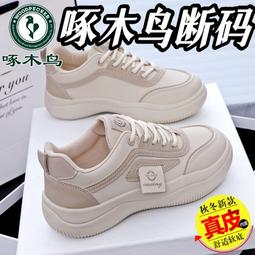 下殺-啄木鳥2022春秋季新款牛仔夾克男士修身韓版時尚男裝上衣外套潮流 歷史價格詳細信息