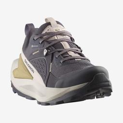 Salomon ELIXIR Goretex 男款 低筒防水登山鞋 L47295800 香草白/幻灰/檸檬黃 歷史價格詳細信息
