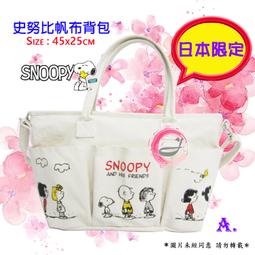 Snoopy 帆布雙格吊掛式信插 (灰探頭款) 歷史價格詳細信息