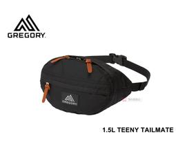 【GREGORY】TEENY TAILMATE 1.5L 超輕可調式腰包(輕巧好收納.可調整式腰帶) 119651-0511 花園油彩 歷史價格詳細信息