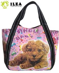 iclea x bag 點子包研究所 大型汽化營燈收納袋/台灣設計製造 適用 Kitelamp 大P汽化燈 歷史價格詳細信息