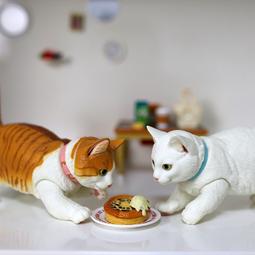 貓小姐 海洋圖書館  (500片, AJR500-111, 台灣製拼圖) 歷史價格詳細信息