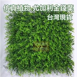 【台灣現貨 附發票】韓式鯊魚夾髮簪 鯊魚夾 髮簪 金屬鯊魚夾 珍珠鯊魚夾 珍珠髮簪 髮抓 一字大髮抓 韓版金屬風抓夾 歷史價格詳細信息