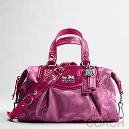 保證真品 Coach 馬車系列 春夏款 花朵 鎖匙/零錢包 ～ 免運優惠 歷史價格詳細信息