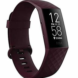 Fitbit Charge 4 健康 智慧手環 血氧指標 內建GPS 防水 續航七天 Fitbit pay 聯強公司貨 歷史價格詳細信息