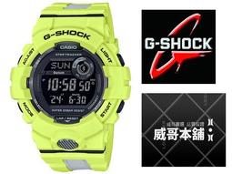 Casio 原廠49鍵-61鍵專用鍵盤架/電子琴架(CTK 及 LK 系列都適用)[唐尼樂器] 歷史價格詳細信息