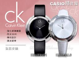 CASIO 時計屋_瑞士CK手錶_Calvin Klein_K2246120_K2246107_大錶徑簡約中性錶_全新有保固_附發票~ 歷史價格詳細信息