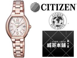 CITIZEN 光動能系列 萬年曆紳士腕錶(金) 歷史價格詳細信息