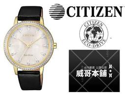 CITIZEN星辰 FE7042-07D 光動能白蝶貝面板腕錶 廠商直送 現貨 歷史價格詳細信息