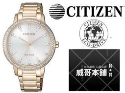 CITIZEN星辰 FE7042-07D 光動能白蝶貝面板腕錶 廠商直送 現貨 歷史價格詳細信息