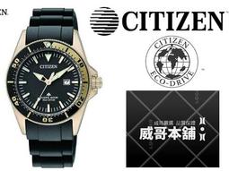CITIZEN 星辰 水鬼潛水型運動錶(NJ0120-81E)43mm/黑 歷史價格詳細信息