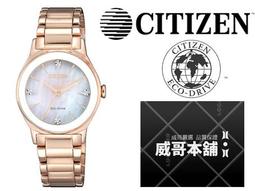 CITIZEN星辰 EM0738-80D 光動能白蝶貝面板腕錶 廠商直送 現貨 歷史價格詳細信息