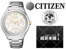 FD1024【日本無修正】PT125 Studio teriyaki AV女優をあなたの自宅に宅配 朝桐光 歷史價格詳細信息