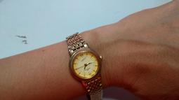 【鱷魚】不快害蟲除蟲劑300ml-雛菊淡香-3罐(日本原體 居家、園藝通用) 歷史價格詳細信息