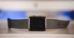 Apple 蘋果 原廠 Watch 磁性快速充電器對USB-C 連接線 - 1 公尺 (A2515) 歷史價格詳細信息