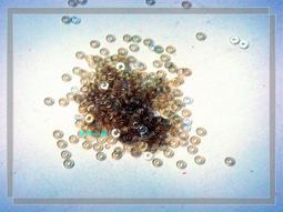 【【angel精品眼鏡】】無邊鏡架專用.金屬十字長螺絲..無邊框.螺絲.套筒.0.8mm 歷史價格詳細信息