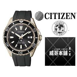 CITIZEN 星辰 水鬼潛水型運動錶(NJ0120-81E)43mm/黑 歷史價格詳細信息