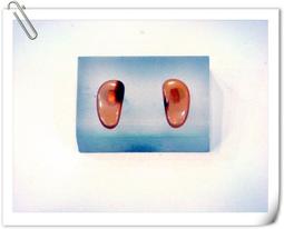 地鎖有框玻璃門旋轉門地插鎖插銷門栓鋁合金門木門地鎖彈簧落地插 歷史價格詳細信息