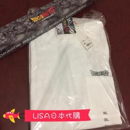 Uniqlo尼龍斜挎包包2023款女款日韓百搭單肩包包時尚輕便散步小包 歷史價格詳細信息