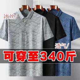 胖男童加肥加大碼速乾兩件式泳衣泳褲兩件套胖童兒童防曬遊泳衣套裝 歷史價格詳細信息