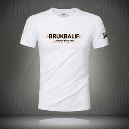 莫代爾T恤男士短袖春夏季冰絲薄款2022年新款潮流虎頭半袖體恤衫 歷史價格詳細信息