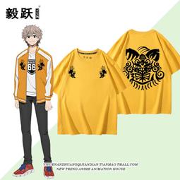 【皇運】山寨卡小廠顯卡小品牌卡 顯卡風扇 扇葉直徑7.5cm 孔距4.2cm 歷史價格詳細信息