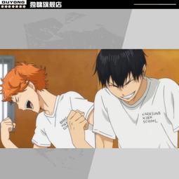 【排球少年同款】排球少年短袖 日向翔陽T恤 純棉動漫周邊短袖 cos周邊夏季男生短袖 排球少年動漫t恤 男短t恤 歷史價格詳細信息