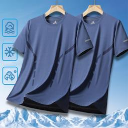 冰絲t恤男士短袖2024新款夏季運動速干透氣半袖男體恤寬松上 價格比較,價格查詢,歷史價格詳細信息