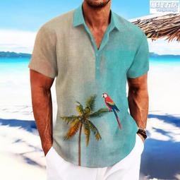 男士新款夏威夷休閑短袖襯衫沙灘個性時尚復古3D印花透氣百搭T恤 歷史價格詳細信息