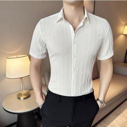 M-2XL夏季男士簡約polo衫短袖寬鬆翻領t恤潮流百搭休閒上衣-22號穿搭 歷史價格詳細信息